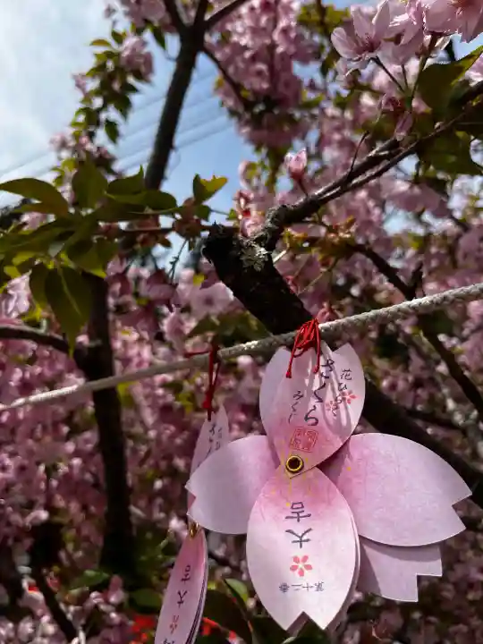 金櫻神社の{uncategorized: "未分類", other: "その他", undefined: "問題あり", building: "その他建物", grave: "お墓", sacred_gate: "鳥居", guardian: "狛犬", statue: "像", buddha: "仏像", history: "歴史", nature: "自然", garden: "庭園", animal: "動物", pagoda: "塔", temizu: "手水舎", mountain_gate: "山門・神門", sanctuary: "本殿・本堂", subordinate: "末社・摂社", art: "芸術", scenery: "景色", jizo: "地蔵", ema: "絵馬", goshuin: "御朱印", omikuji: "おみくじ", items: "授与品その他", amulet: "お守り", goshuincho: "御朱印帳", eats: "食事", festival: "お祭り", votive_dance: "神楽", shichigosan: "七五三参", wedding: "結婚式", experience: "体験その他", initially: "初詣", around: "周辺", anti_infection: "感染症対策"}
