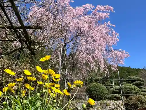 仏隆寺の{uncategorized: "未分類", other: "その他", undefined: "問題あり", building: "その他建物", grave: "お墓", sacred_gate: "鳥居", guardian: "狛犬", statue: "像", buddha: "仏像", history: "歴史", nature: "自然", garden: "庭園", animal: "動物", pagoda: "塔", temizu: "手水舎", mountain_gate: "山門・神門", sanctuary: "本殿・本堂", subordinate: "末社・摂社", art: "芸術", scenery: "景色", jizo: "地蔵", ema: "絵馬", goshuin: "御朱印", omikuji: "おみくじ", items: "授与品その他", amulet: "お守り", goshuincho: "御朱印帳", eats: "食事", festival: "お祭り", votive_dance: "神楽", shichigosan: "七五三参", wedding: "結婚式", experience: "体験その他", initially: "初詣", around: "周辺", anti_infection: "感染症対策"}