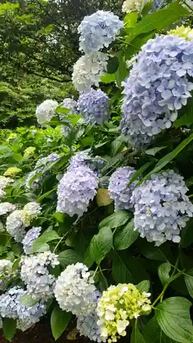 吉備津神社(岡山県)