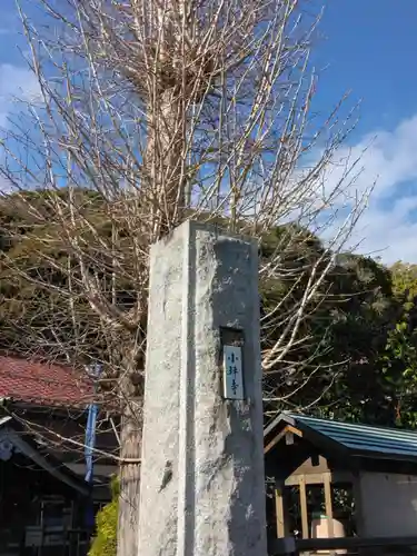 小坪寺(神奈川県)