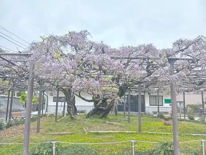 竹鼻別院(岐阜県)
