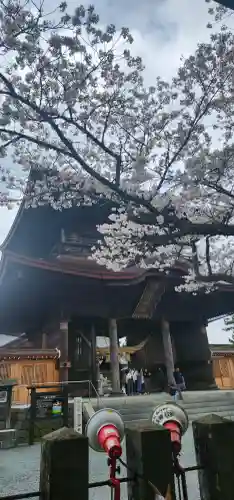 阿蘇神社の{uncategorized: "未分類", other: "その他", undefined: "問題あり", building: "その他建物", grave: "お墓", sacred_gate: "鳥居", guardian: "狛犬", statue: "像", buddha: "仏像", history: "歴史", nature: "自然", garden: "庭園", animal: "動物", pagoda: "塔", temizu: "手水舎", mountain_gate: "山門・神門", sanctuary: "本殿・本堂", subordinate: "末社・摂社", art: "芸術", scenery: "景色", jizo: "地蔵", ema: "絵馬", goshuin: "御朱印", omikuji: "おみくじ", items: "授与品その他", amulet: "お守り", goshuincho: "御朱印帳", eats: "食事", festival: "お祭り", votive_dance: "神楽", shichigosan: "七五三参", wedding: "結婚式", experience: "体験その他", initially: "初詣", around: "周辺", anti_infection: "感染症対策"}