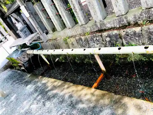 阿蘇神社の手水