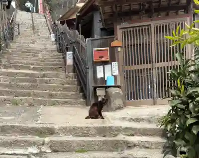 千光寺の{uncategorized: "未分類", other: "その他", undefined: "問題あり", building: "その他建物", grave: "お墓", sacred_gate: "鳥居", guardian: "狛犬", statue: "像", buddha: "仏像", history: "歴史", nature: "自然", garden: "庭園", animal: "動物", pagoda: "塔", temizu: "手水舎", mountain_gate: "山門・神門", sanctuary: "本殿・本堂", subordinate: "末社・摂社", art: "芸術", scenery: "景色", jizo: "地蔵", ema: "絵馬", goshuin: "御朱印", omikuji: "おみくじ", items: "授与品その他", amulet: "お守り", goshuincho: "御朱印帳", eats: "食事", festival: "お祭り", votive_dance: "神楽", shichigosan: "七五三参", wedding: "結婚式", experience: "体験その他", initially: "初詣", around: "周辺", anti_infection: "感染症対策"}
