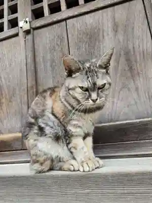 釋尊寺(長野県)