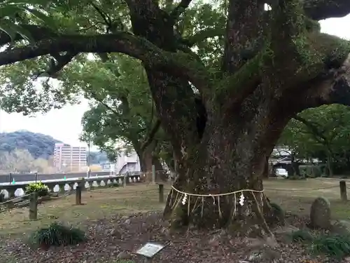 諫早神社（九州総守護  四面宮）(長崎県)