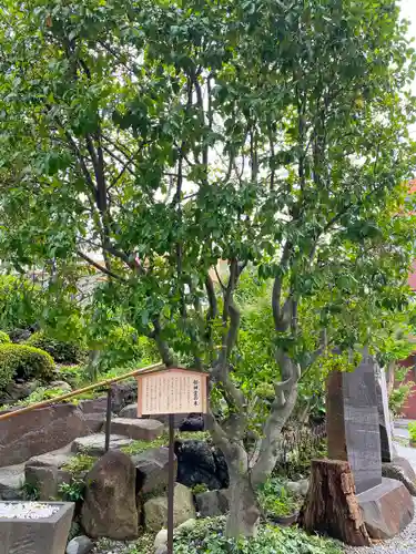 鎮守氷川神社の自然