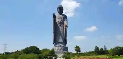 東本願寺本廟 牛久浄苑（牛久大仏）(茨城県)