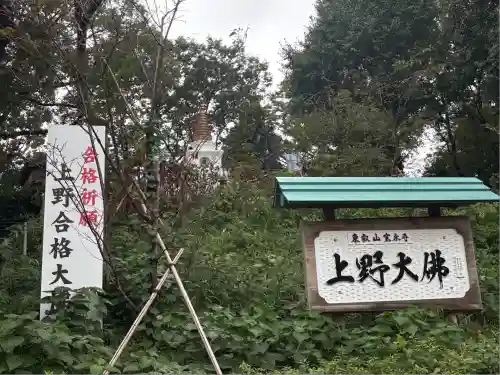 上野大佛(東京都)