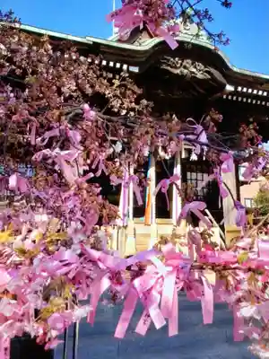 桜神宮(東京都)