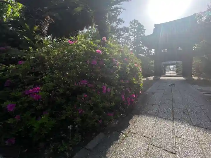 伊勢の国 四天王寺(三重県)