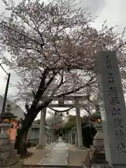 彌都加伎神社の自然