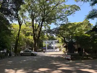 宮崎縣護國神社の{uncategorized: "未分類", other: "その他", undefined: "問題あり", building: "その他建物", grave: "お墓", sacred_gate: "鳥居", guardian: "狛犬", statue: "像", buddha: "仏像", history: "歴史", nature: "自然", garden: "庭園", animal: "動物", pagoda: "塔", temizu: "手水舎", mountain_gate: "山門・神門", sanctuary: "本殿・本堂", subordinate: "末社・摂社", art: "芸術", scenery: "景色", jizo: "地蔵", ema: "絵馬", goshuin: "御朱印", omikuji: "おみくじ", items: "授与品その他", amulet: "お守り", goshuincho: "御朱印帳", eats: "食事", festival: "お祭り", votive_dance: "神楽", shichigosan: "七五三参", wedding: "結婚式", experience: "体験その他", initially: "初詣", around: "周辺", anti_infection: "感染症対策"}