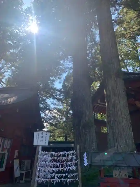 日光二荒山神社(栃木県)