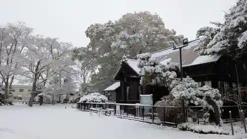 新琴似神社(北海道)