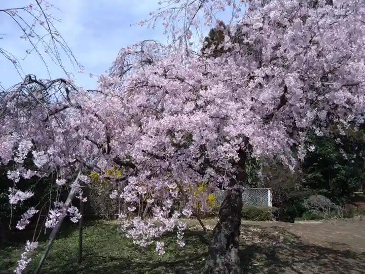 蒲生神社(栃木県)