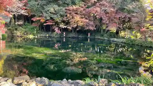 富士山本宮浅間大社の庭園