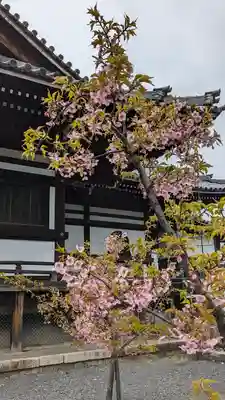 頂妙寺(京都府)