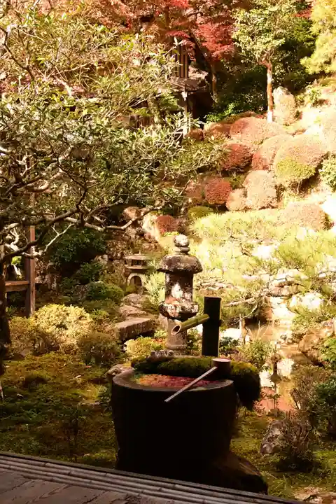 柳谷観音 楊谷寺(京都府)