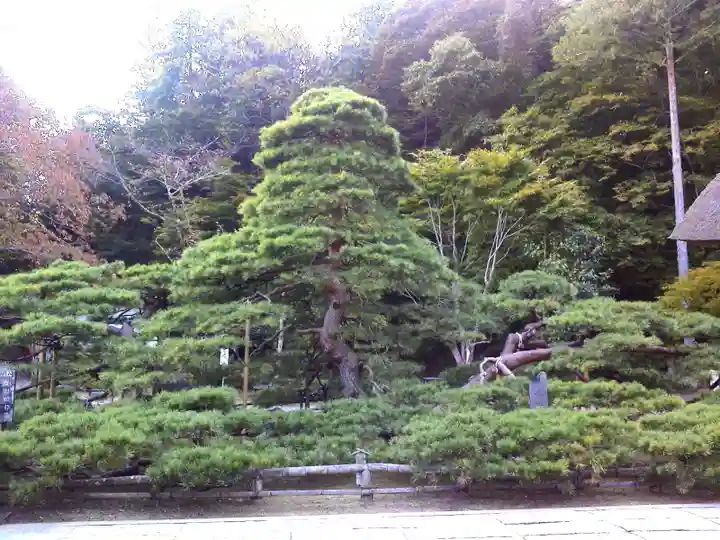 常楽寺のその他建物