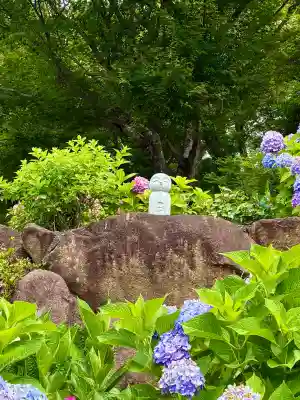 柳谷観音　楊谷寺(京都府)