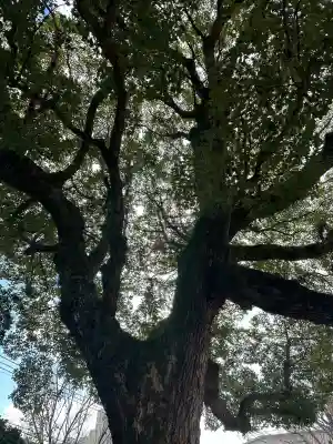 率川神社（大神神社摂社）(奈良県)