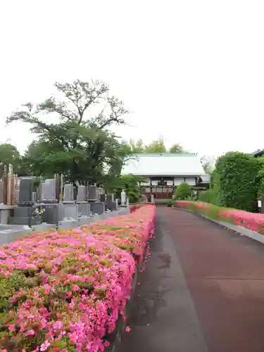 真光寺(千葉県)