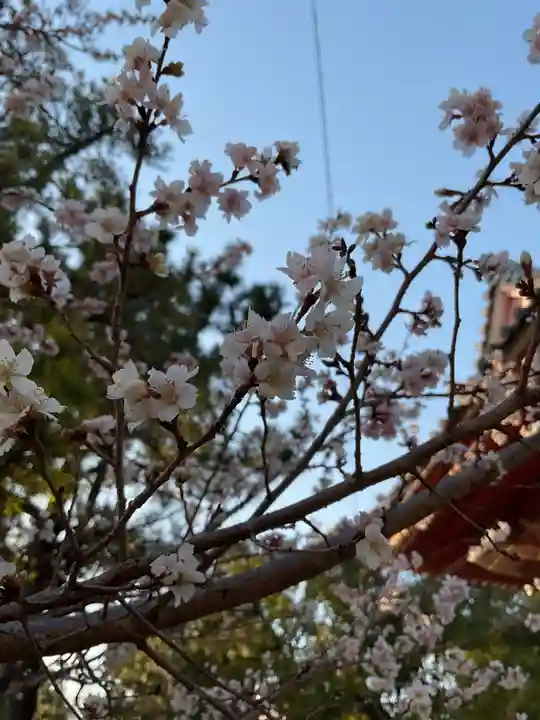 甚目寺(愛知県)