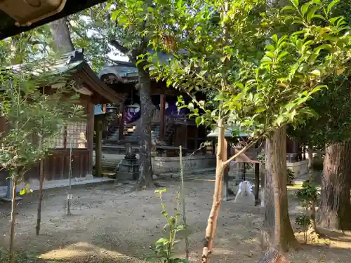 櫻井神社の本殿