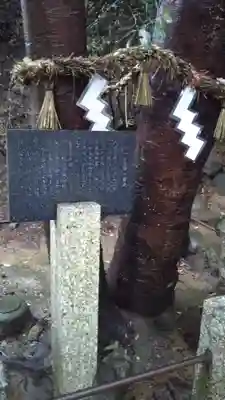 野間神社の自然