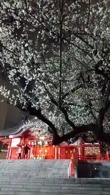 花園神社の本殿・本堂