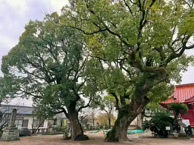 香椎神社(佐賀県)