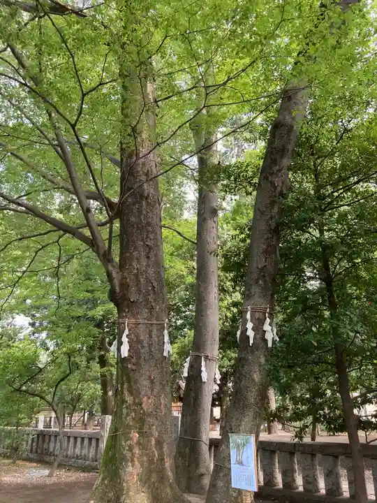 布多天神社の自然