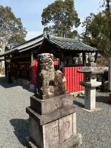 大歳神社の狛犬