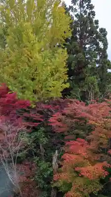 三鈷寺(京都府)