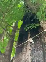 飛木稲荷神社(東京都)