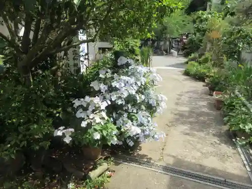 長楽寺(静岡県)