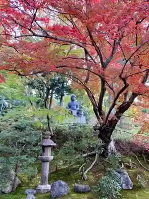 榮攝院（栄摂院）の庭園