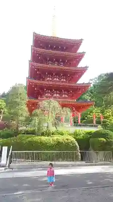 高幡不動尊　金剛寺の{uncategorized: "未分類", other: "その他", undefined: "問題あり", building: "その他建物", grave: "お墓", sacred_gate: "鳥居", guardian: "狛犬", statue: "像", buddha: "仏像", history: "歴史", nature: "自然", garden: "庭園", animal: "動物", pagoda: "塔", temizu: "手水舎", mountain_gate: "山門・神門", sanctuary: "本殿・本堂", subordinate: "末社・摂社", art: "芸術", scenery: "景色", jizo: "地蔵", ema: "絵馬", goshuin: "御朱印", omikuji: "おみくじ", items: "授与品その他", amulet: "お守り", goshuincho: "御朱印帳", eats: "食事", festival: "お祭り", votive_dance: "神楽", shichigosan: "七五三参", wedding: "結婚式", experience: "体験その他", initially: "初詣", around: "周辺", anti_infection: "感染症対策"}