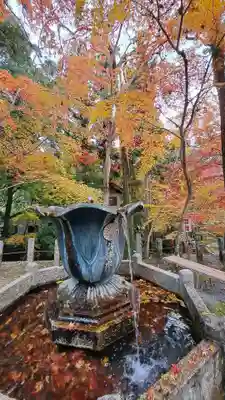神峯山寺(大阪府)