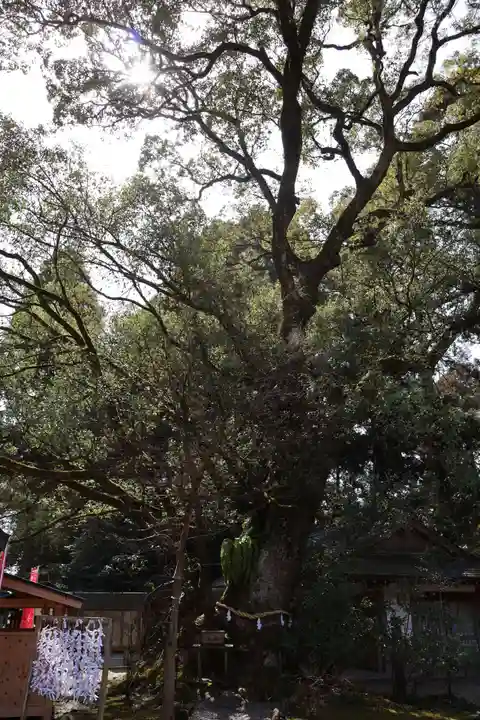 都農神社(宮崎県)