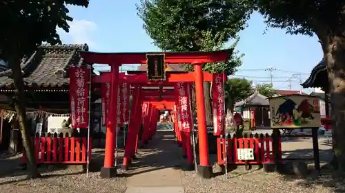 於菊稲荷神社の鳥居