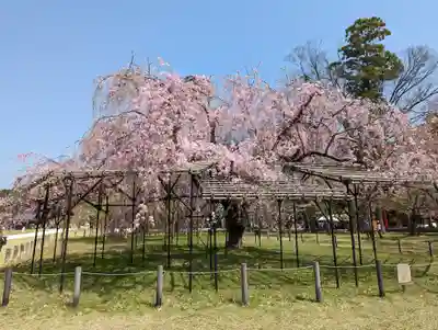 賀茂別雷神社（上賀茂神社）(京都府)