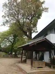 小口神社の手水