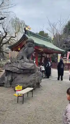 浅草神社の狛犬