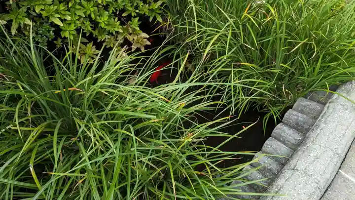 朝日弁財天の動物