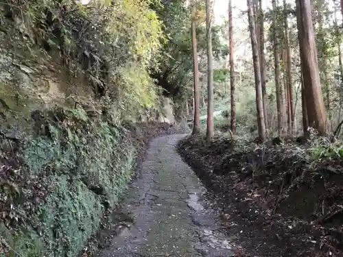 環神社の自然