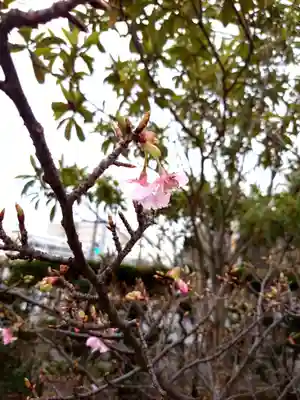 皇大神宮（烏森神社）(神奈川県)