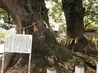 尾鷲神社(三重県)