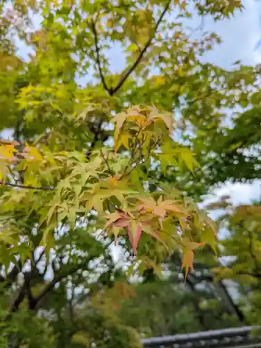 妙満寺(京都府)